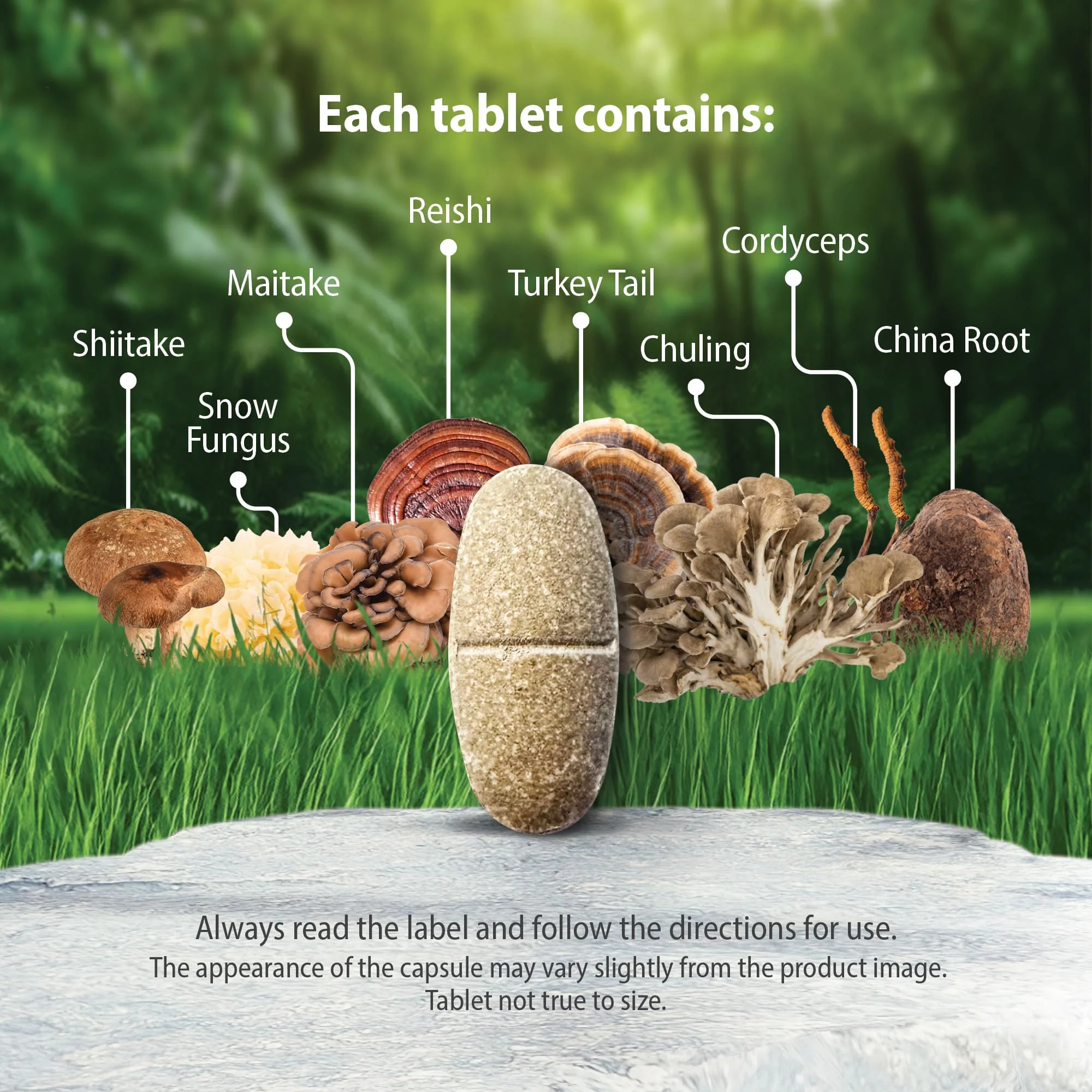Caruso's 8 Mushrooms Complex - Image 4