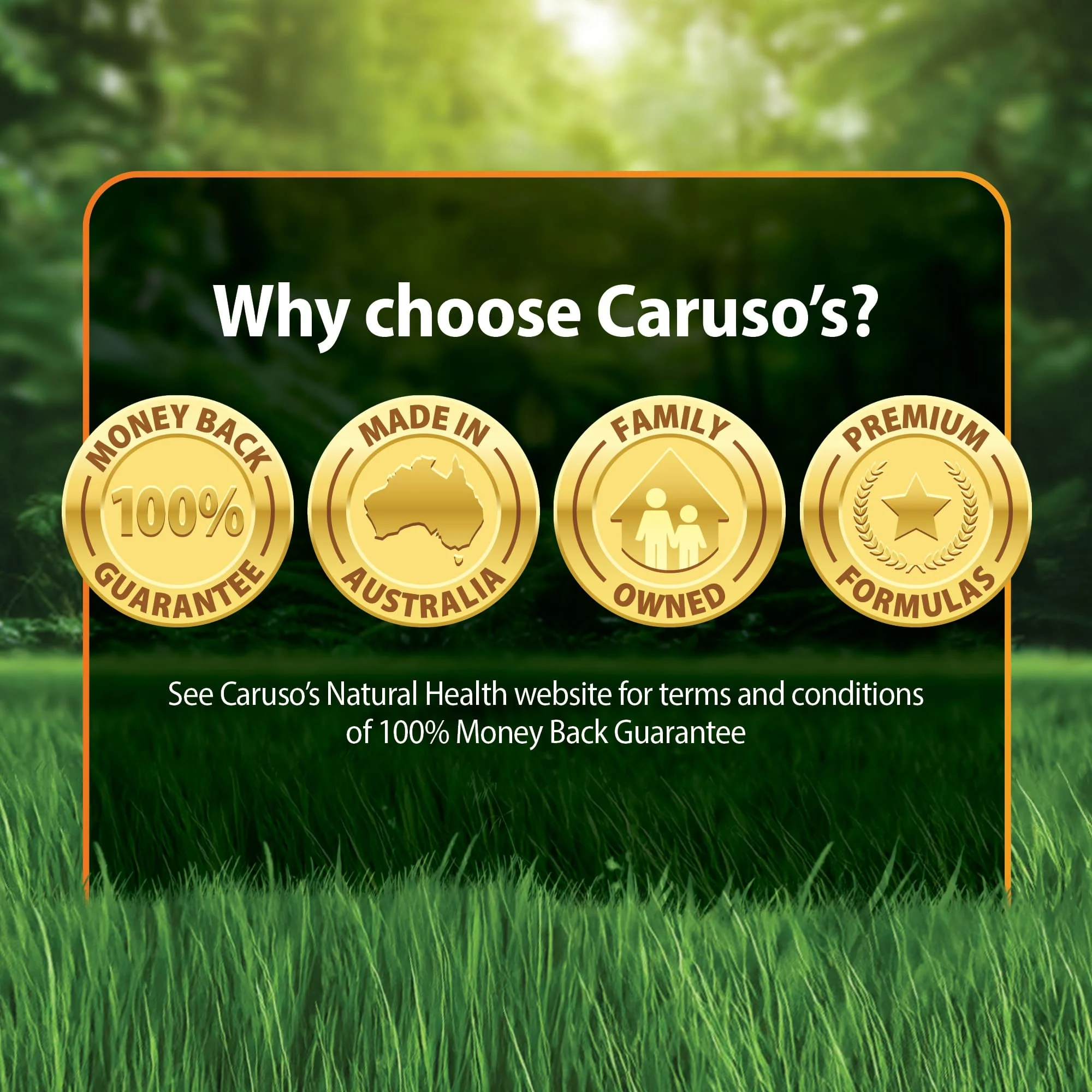 Caruso's 8 Mushrooms Complex - Image 6