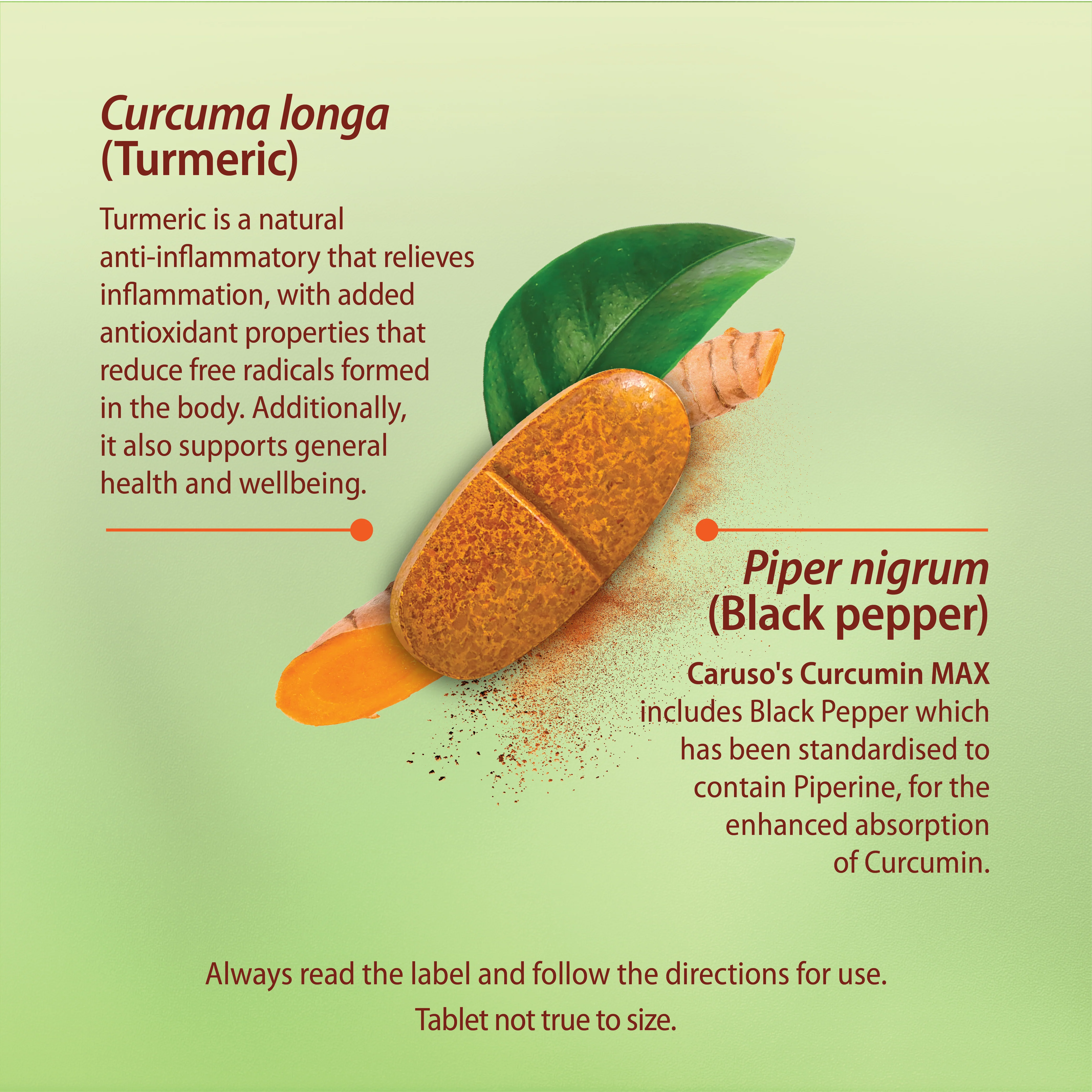 Caruso's Curcumin Max - Image 4