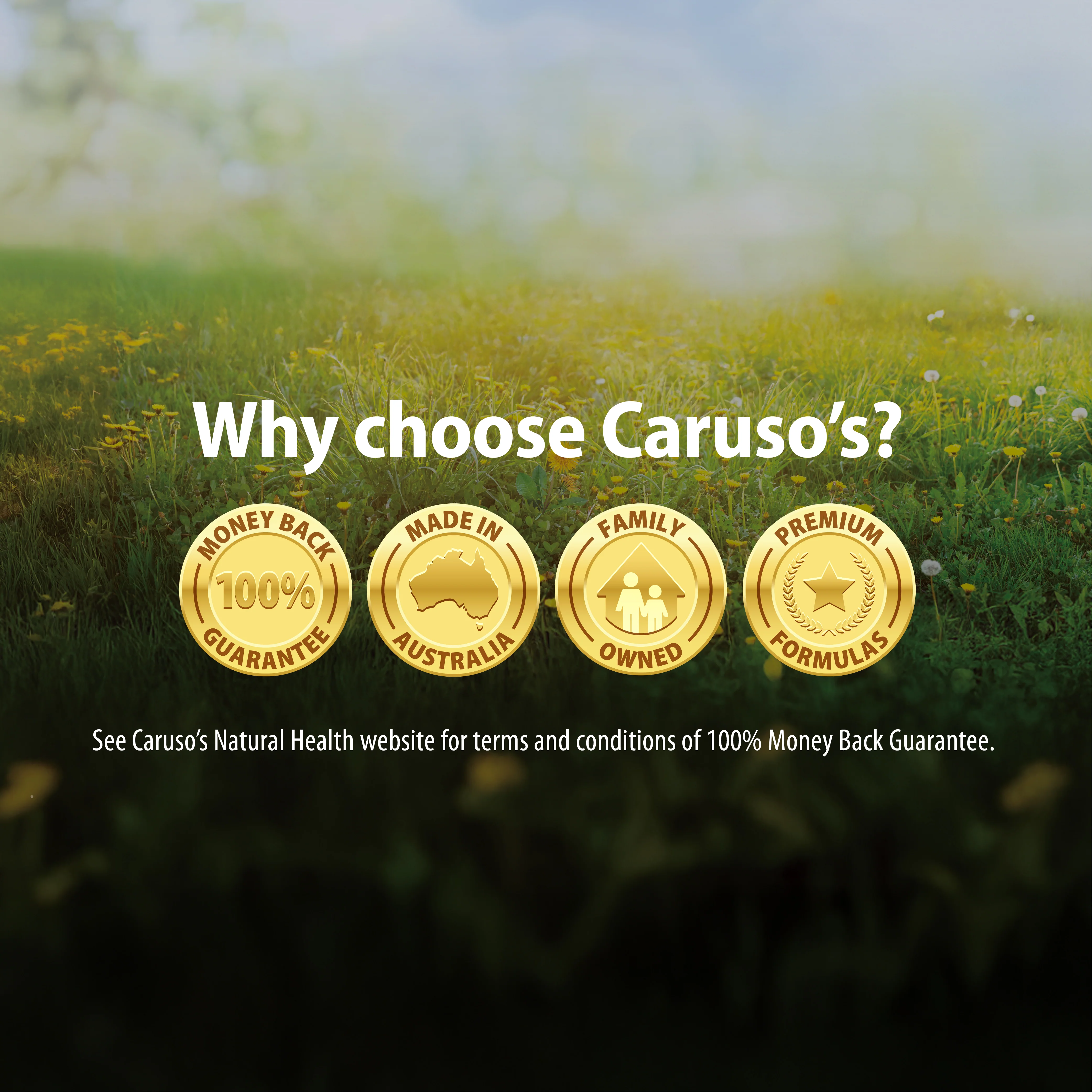 Caruso's Vitamin K2 Double Strength* - Image 5